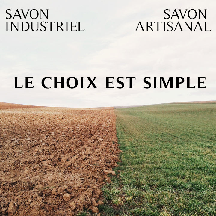 Démystifier le savon en barre et le savon liquide