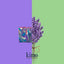 Savon LAVANDE | LAVENDER Soap - Kimo Soaps